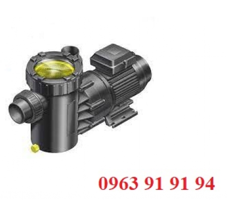 Máy bơm lọc Procopi P-MAX 1.1HP