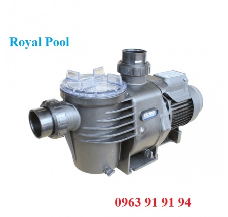 Máy bơm hồ bơi Waterco hydrostom 2HP